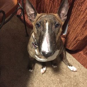 Meet your Posher, Jen